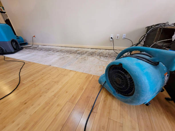 Professional Emergency Water Damage technician working in Long Branch, VA